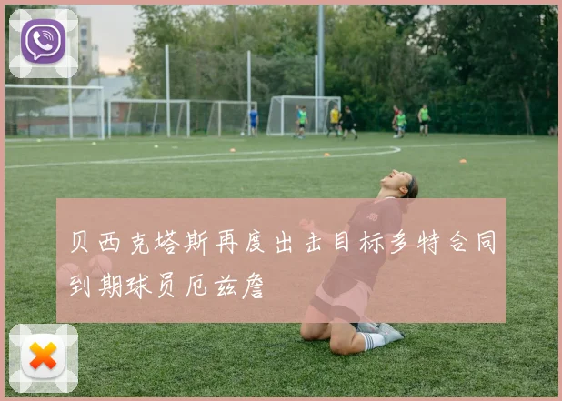 贝西克塔斯再度出击目标多特合同到期球员厄兹詹